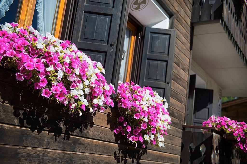 Casa Faifer Mountain Holiday Livigno Luaran gambar